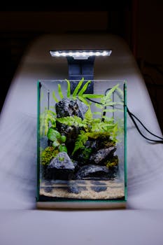 A beautifully arranged aquarium with ferns and rocks, lit by a sleek overhead lamp.