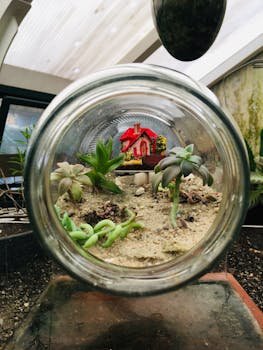 A captivating indoor terrarium featuring succulents and a mini red house in a glass jar.