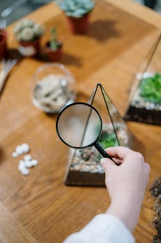 A close-up of a person examining terrarium plants using a magnifying glass.
