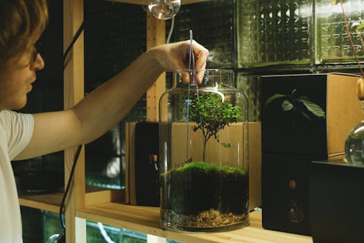 A man uses tweezers to tend a moss terrarium, showcasing a hobbyist's attention to detail indoors.