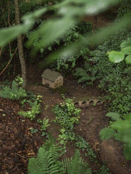 A miniature house with a bridge amidst lush green ferns and moss in a forest setting.