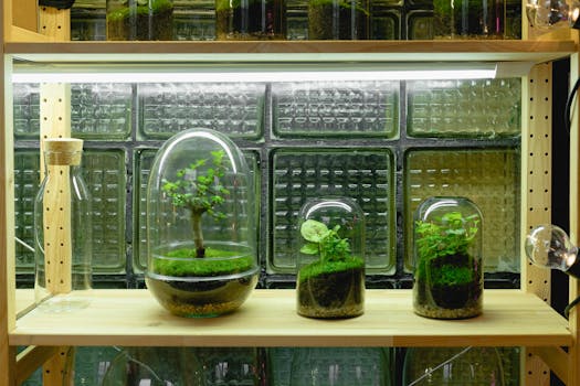 A variety of terrariums with plants enclosed in glass containers on a wooden shelf.