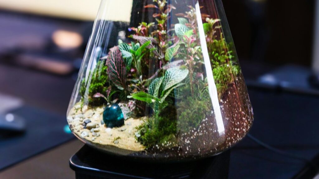 Adding Algae for a Natural Forest Floor Terrarium Effect
