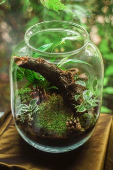Close-up of a terrarium featuring moss and plants in a glass container, ideal for indoor decor.