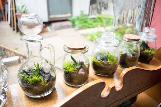 Collection of decorative glass terrariums displayed indoors with vibrant plants and soil.