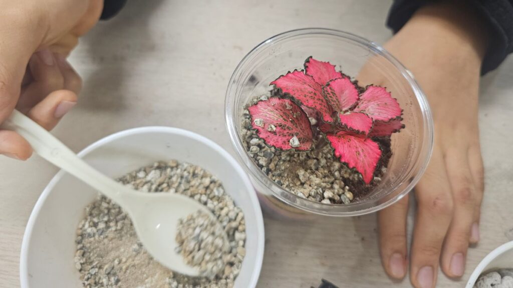 Crafting Terrarium Tools from Everyday Household Items