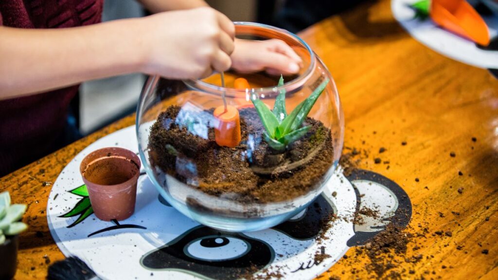 Creating Your Own Terrarium Fogging System for Micro Ecosystems