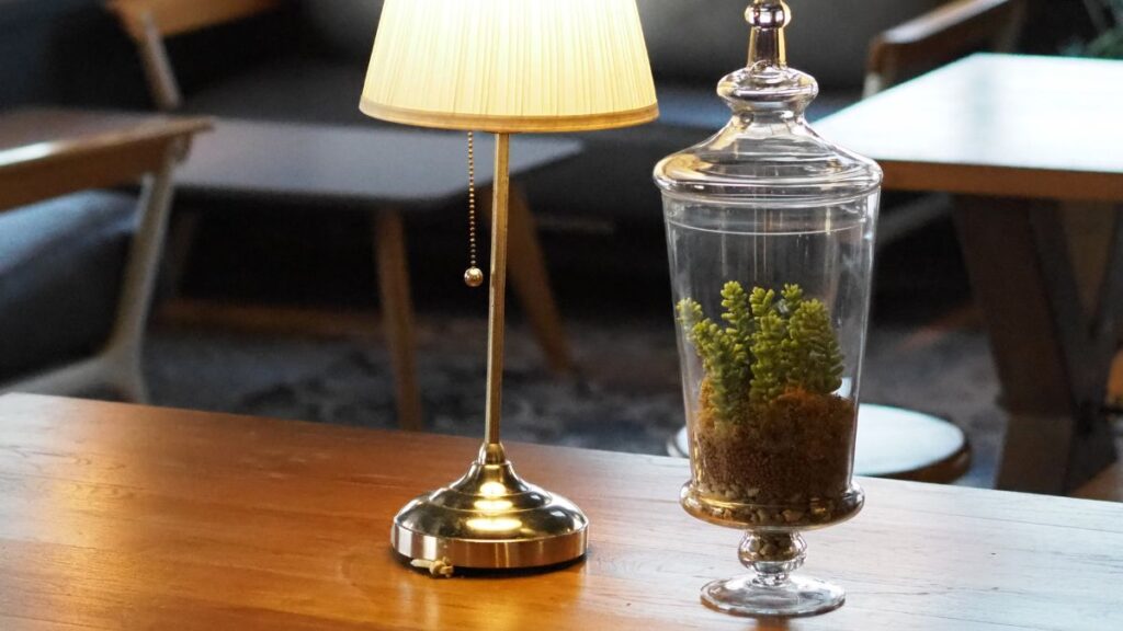 Framing Tiny Pathways and Bridges for Scenic Terrarium Views