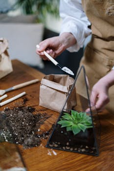 Hands arranging succulents in a triangular glass terrarium indoors.