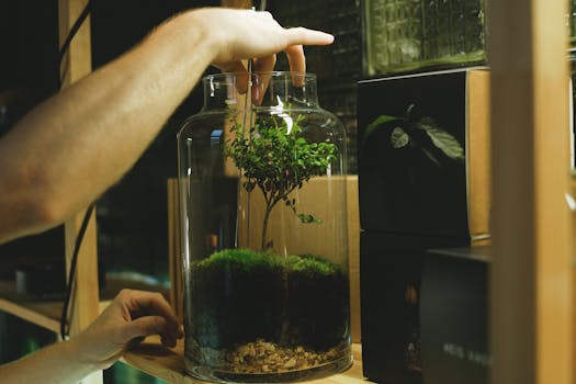 Hands assemble a lush terrarium jar with moss and a small tree indoors.