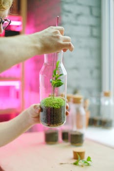 Hands crafting a glass jar terrarium with moss and greenery indoors.