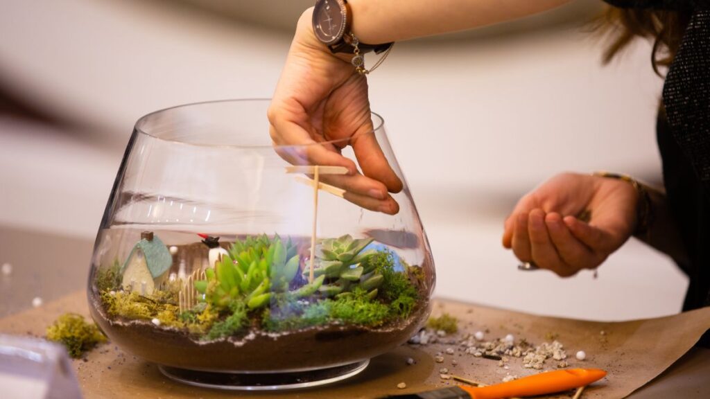 How to Introduce Beneficial Microfauna like Springtails in Terrariums