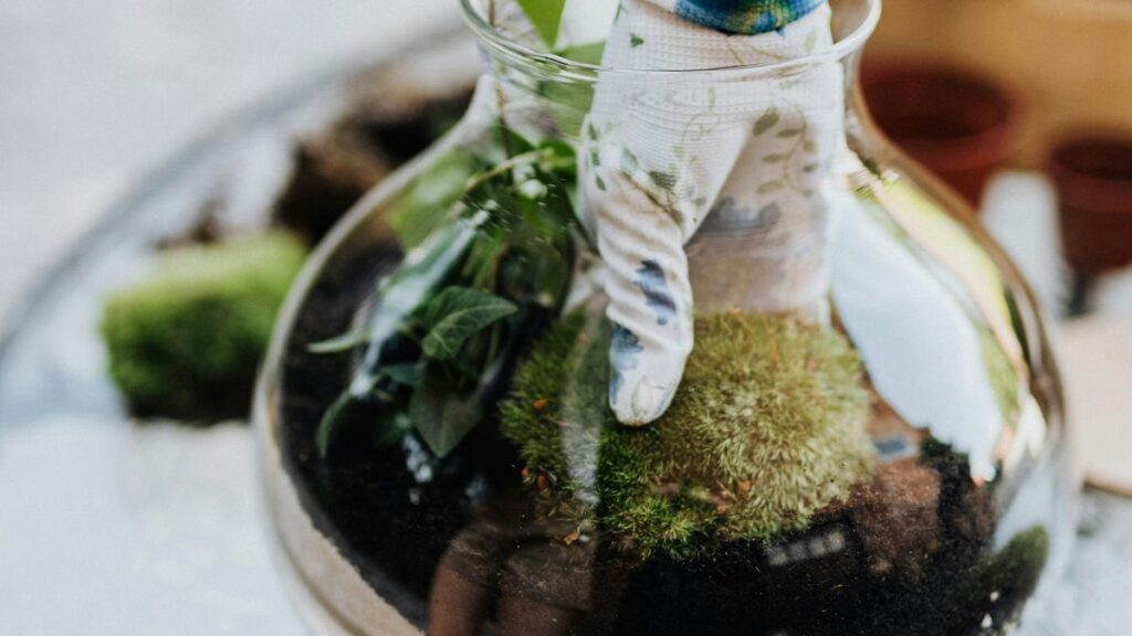 Mixing Water and Land_ Designing Paludarium Features for Micro Terrarium Ecosystems