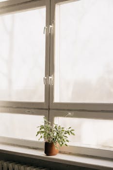 Serene indoor space with a potted plant on a sunlit window sill.
