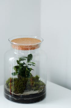 Stylish closed terrarium jar with green plant and moss on a white surface.