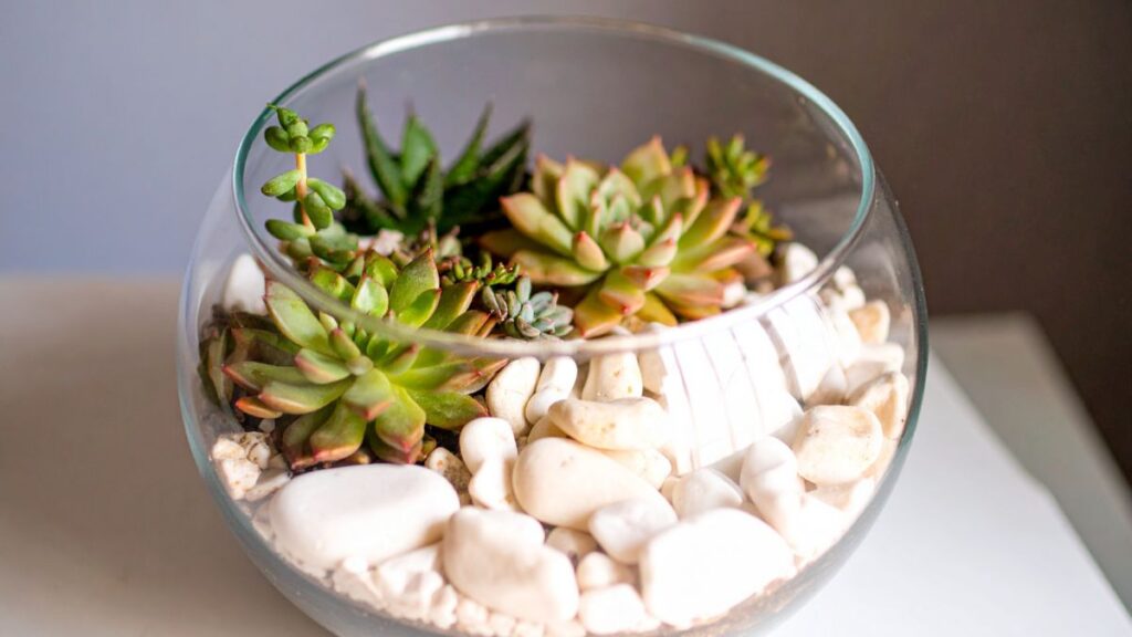 Incorporating Crystals and Gemstones into Terrarium Design for Sparkle
