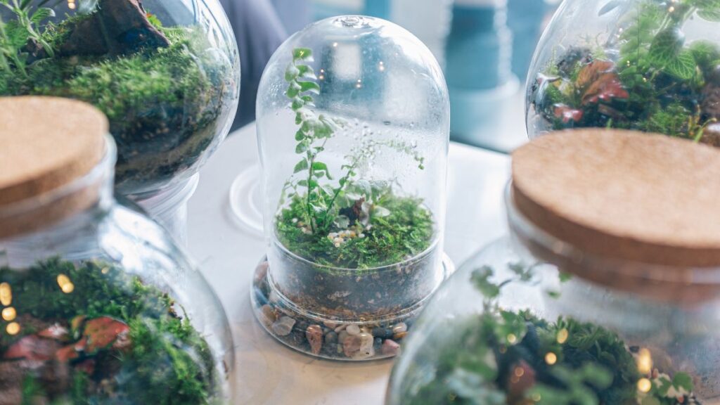 Tips for Long-Term Self-Sustaining Terrariums at Home