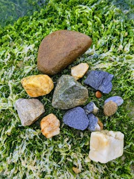 Vibrant arrangement of diverse stones on lush green moss, showcasing natural textures and colors.